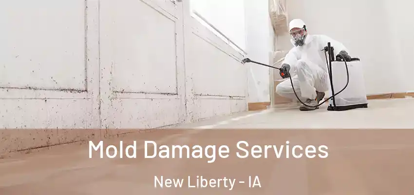  Mold Damage Services New Liberty - IA