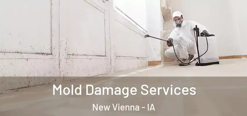  Mold Damage Services New Vienna - IA