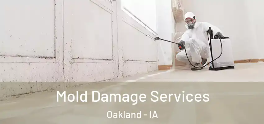 Mold Damage Services Oakland - IA