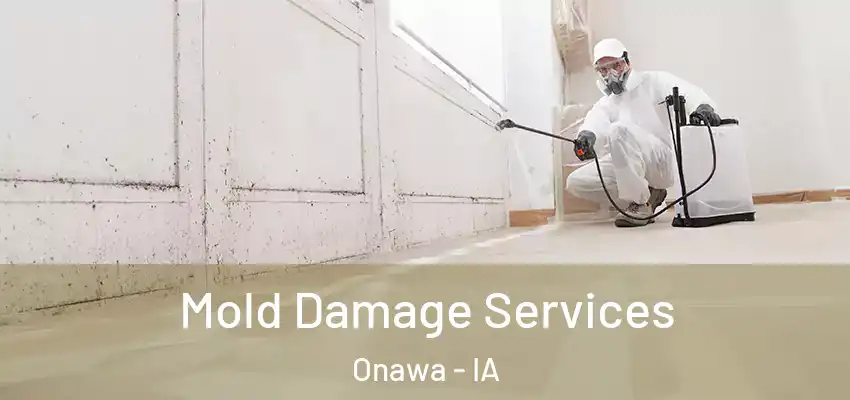 Mold Damage Services Onawa - IA