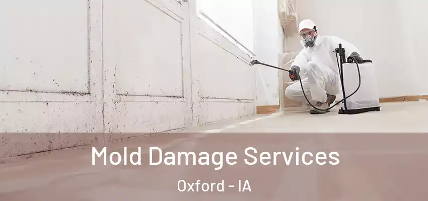 Mold Damage Services Oxford - IA