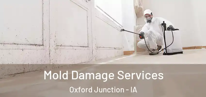 Mold Damage Services Oxford Junction - IA