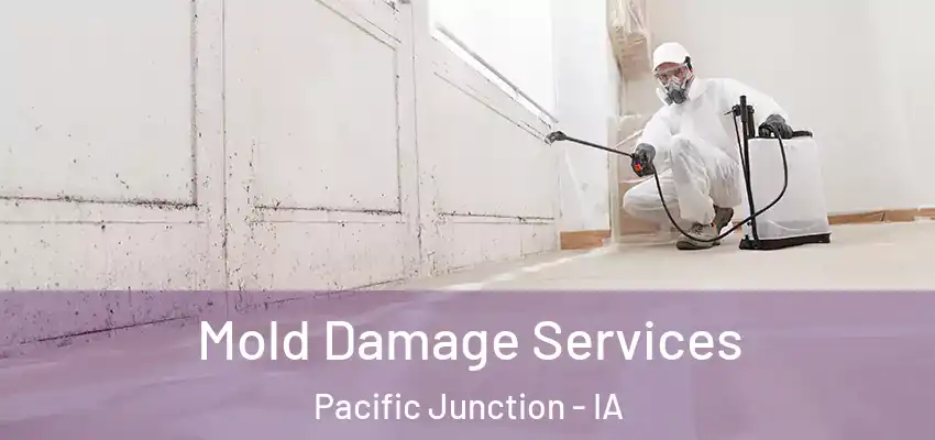  Mold Damage Services Pacific Junction - IA