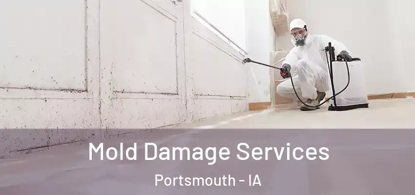 Mold Damage Services Portsmouth - IA