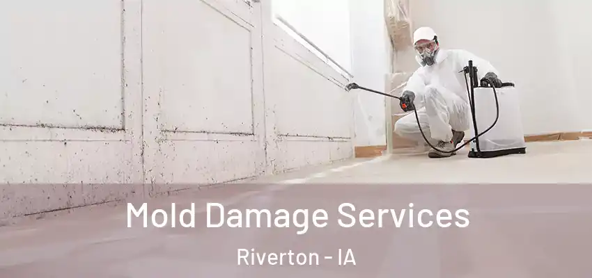  Mold Damage Services Riverton - IA