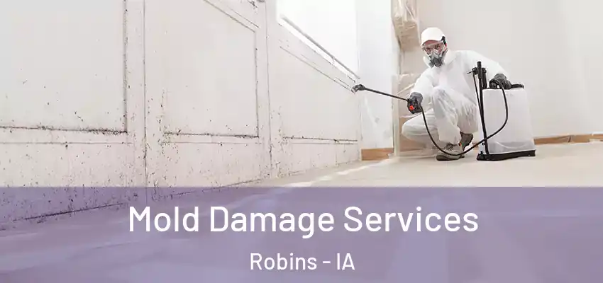 Mold Damage Services Robins - IA