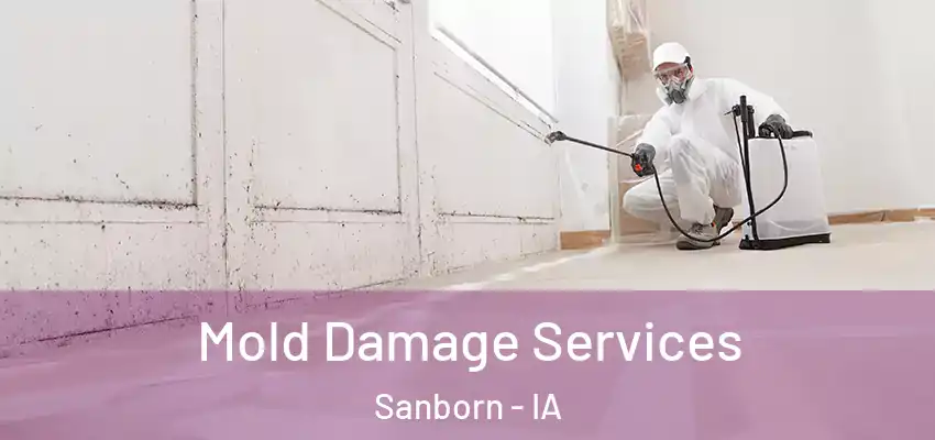  Mold Damage Services Sanborn - IA