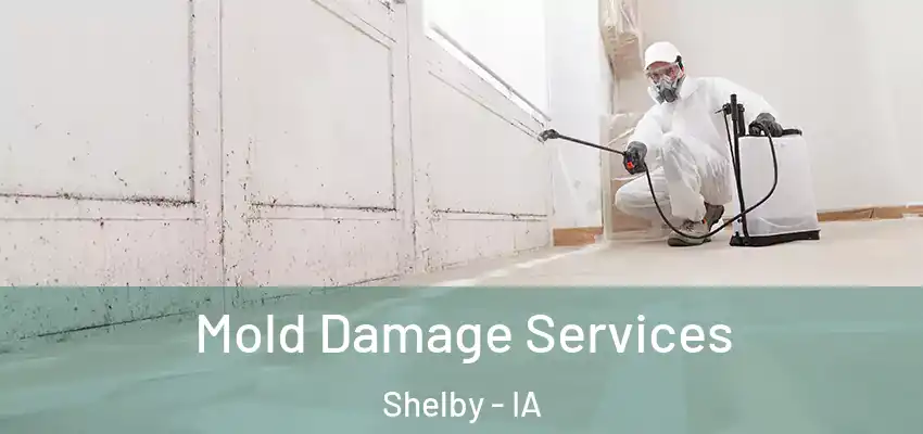 Mold Damage Services Shelby - IA