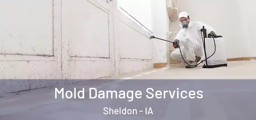 Mold Damage Services Sheldon - IA