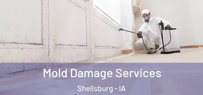 Mold Damage Services Shellsburg - IA