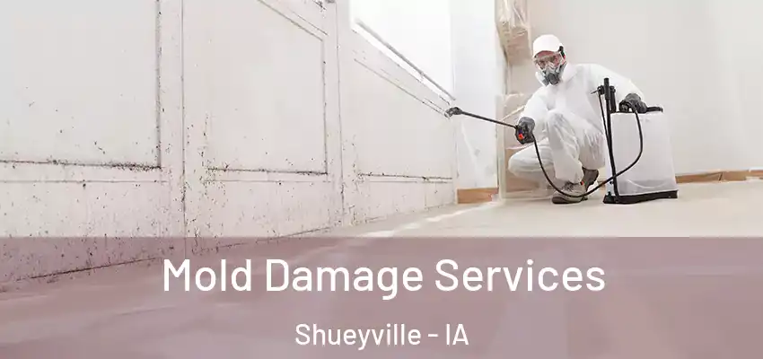  Mold Damage Services Shueyville - IA