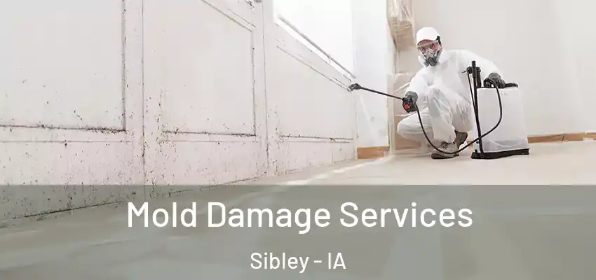 Mold Damage Services Sibley - IA