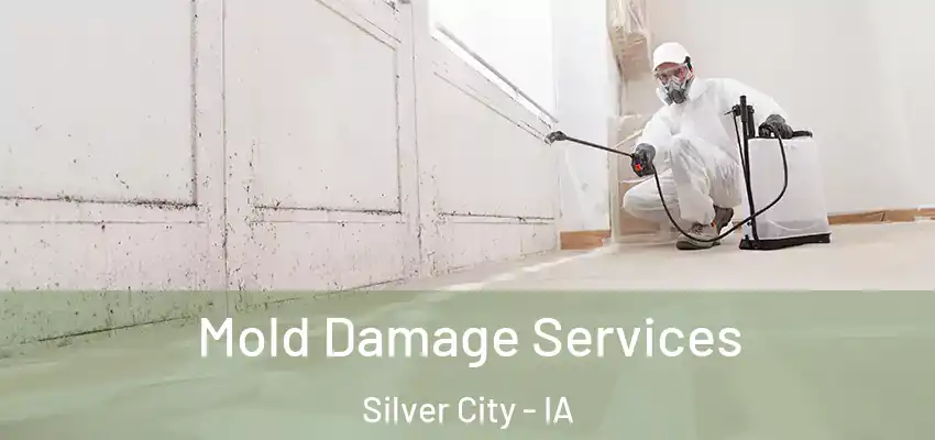 Mold Damage Services Silver City - IA