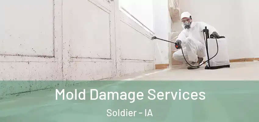  Mold Damage Services Soldier - IA