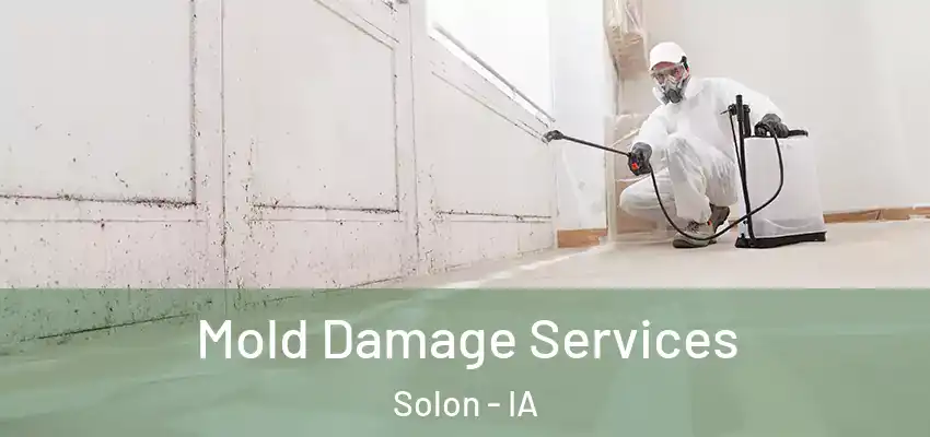 Mold Damage Services Solon - IA