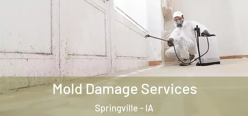 Mold Damage Services Springville - IA