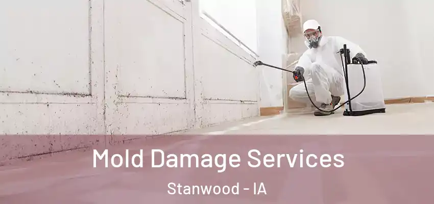 Mold Damage Services Stanwood - IA