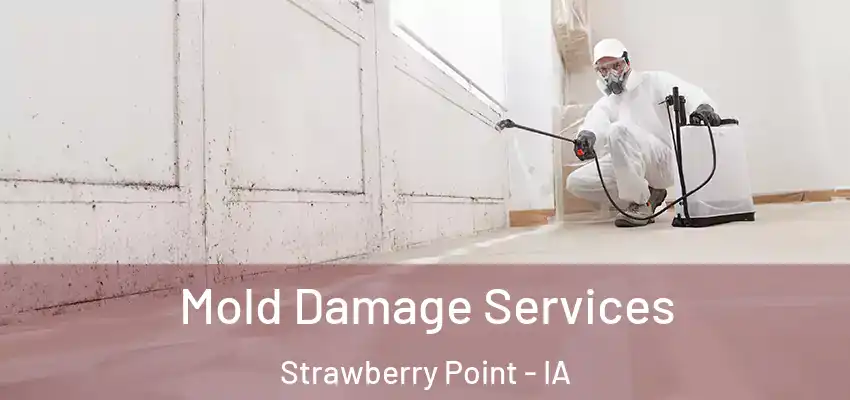  Mold Damage Services Strawberry Point - IA