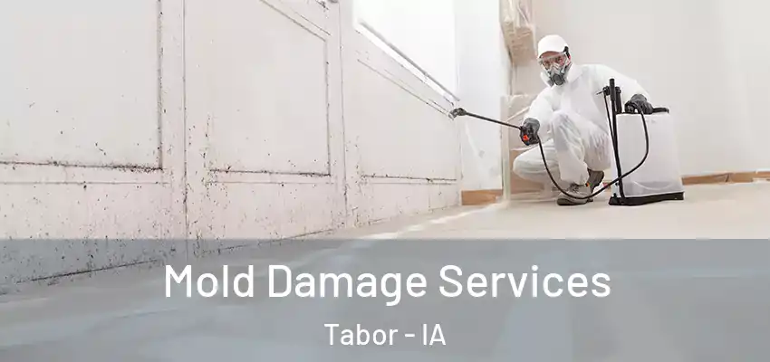  Mold Damage Services Tabor - IA