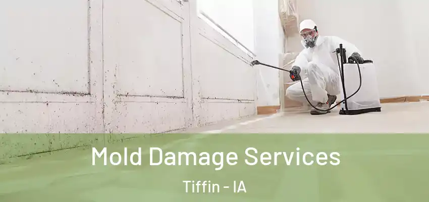 Mold Damage Services Tiffin - IA