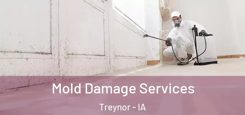  Mold Damage Services Treynor - IA