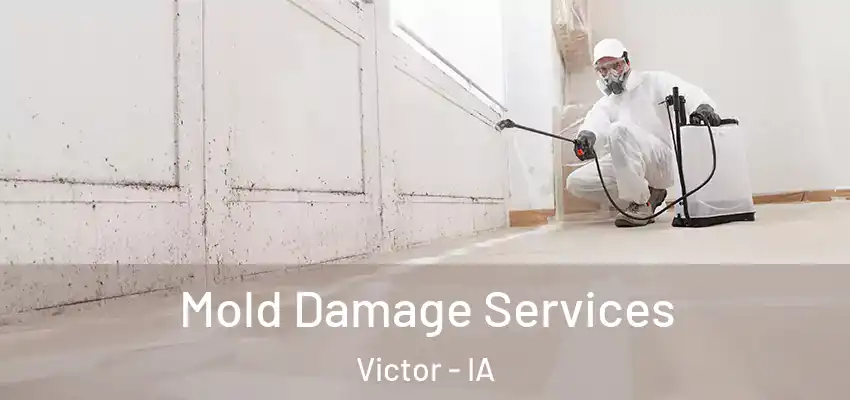  Mold Damage Services Victor - IA