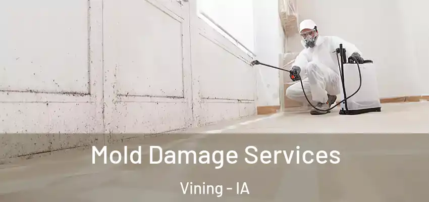 Mold Damage Services Vining - IA