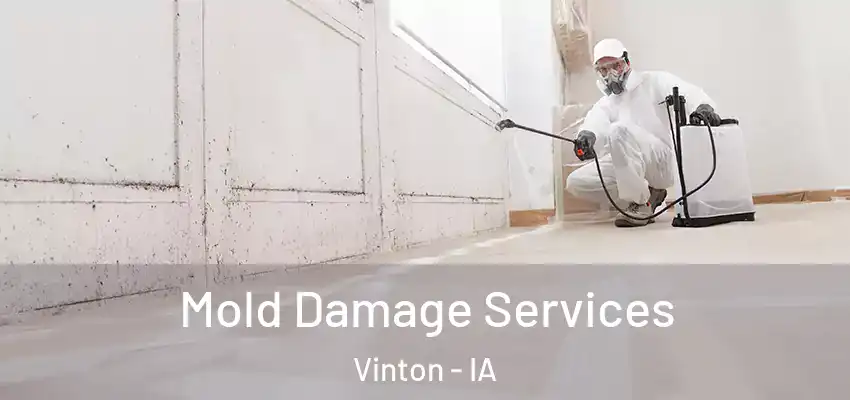  Mold Damage Services Vinton - IA