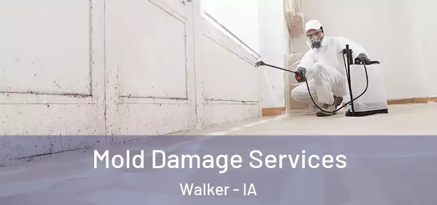 Mold Damage Services Walker - IA