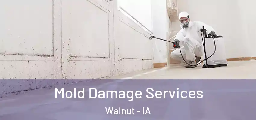  Mold Damage Services Walnut - IA