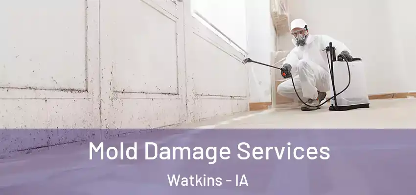 Mold Damage Services Watkins - IA