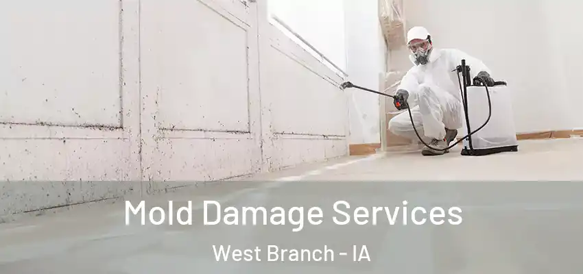  Mold Damage Services West Branch - IA