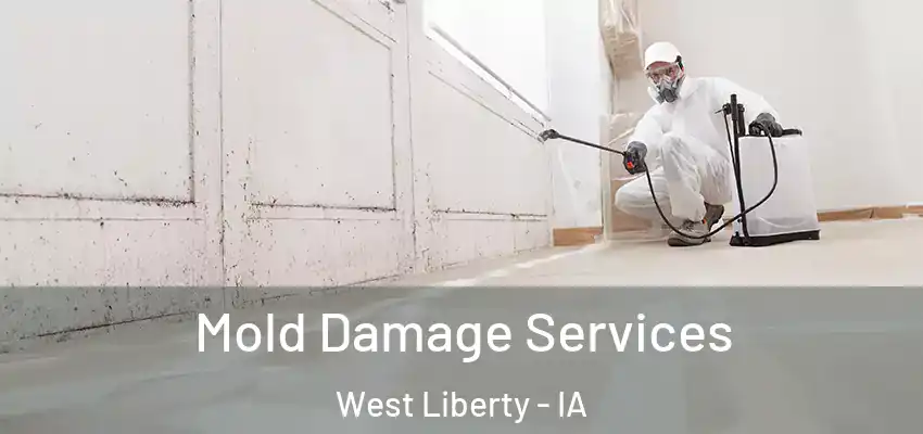  Mold Damage Services West Liberty - IA