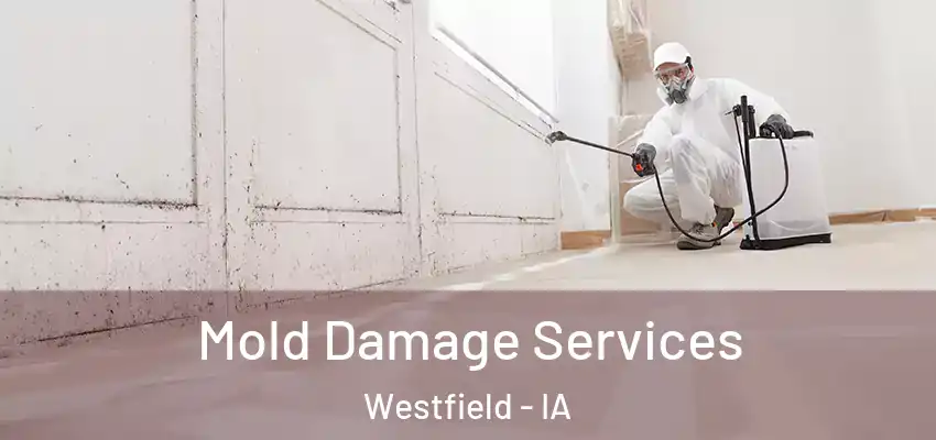 Mold Damage Services Westfield - IA