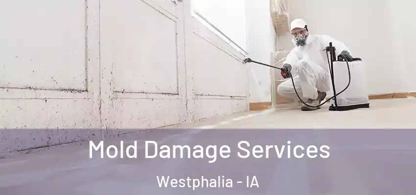  Mold Damage Services Westphalia - IA