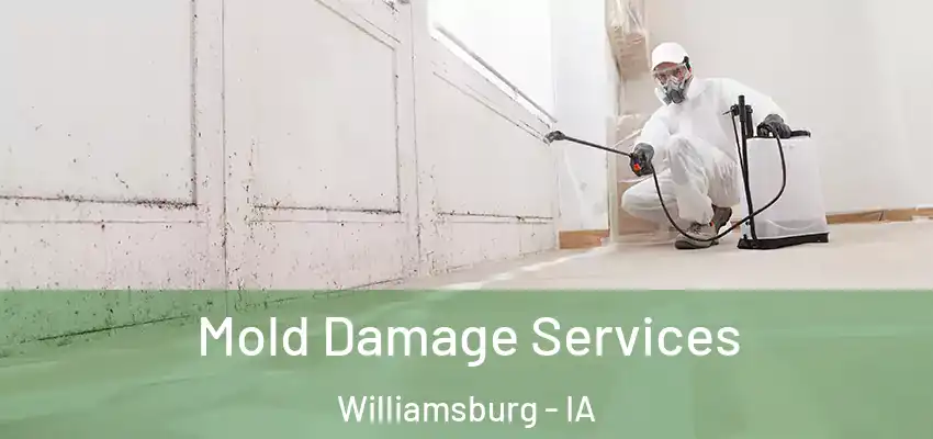  Mold Damage Services Williamsburg - IA