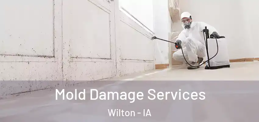 Mold Damage Services Wilton - IA