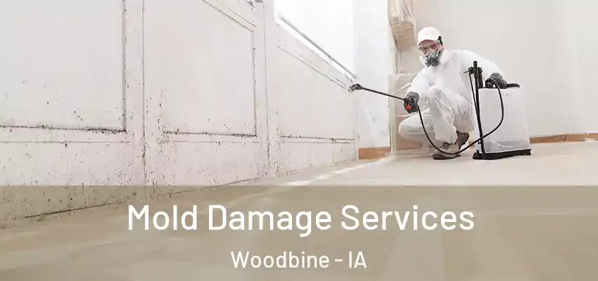  Mold Damage Services Woodbine - IA