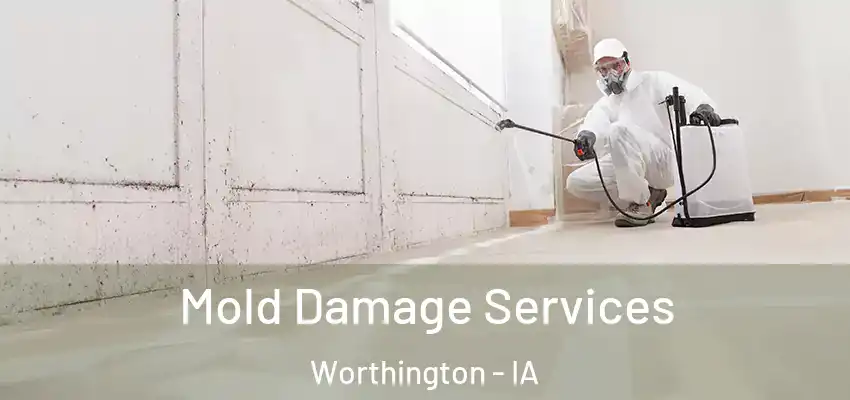 Mold Damage Services Worthington - IA