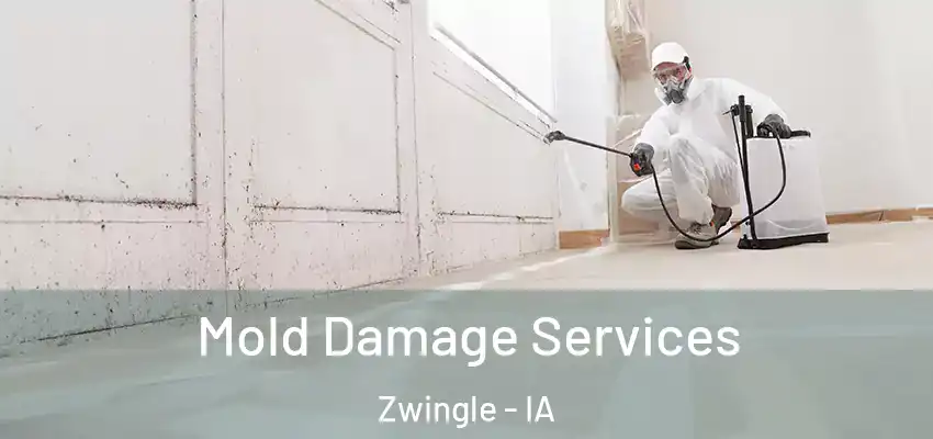  Mold Damage Services Zwingle - IA