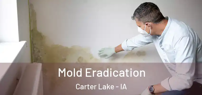Mold Eradication Carter Lake - IA