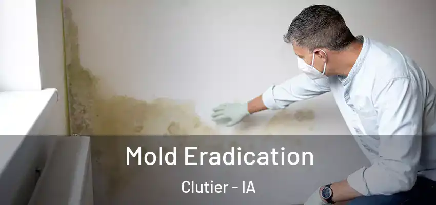 Mold Eradication Clutier - IA