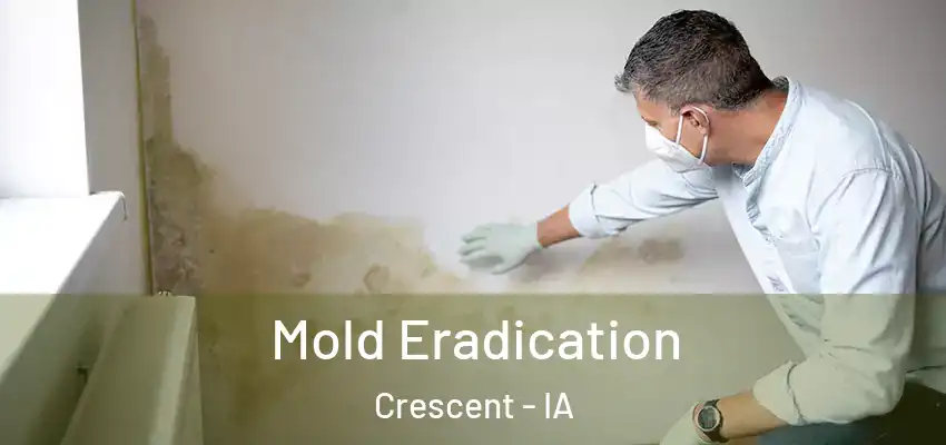 Mold Eradication Crescent - IA