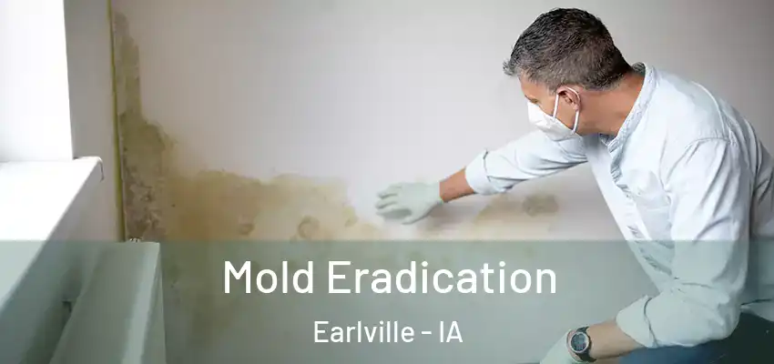  Mold Eradication Earlville - IA