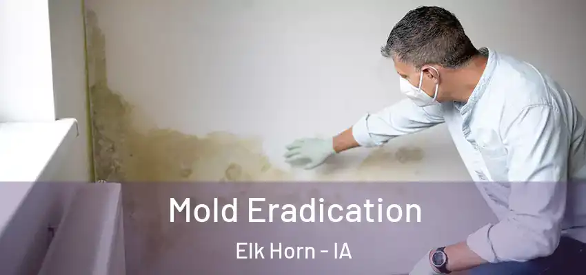 Mold Eradication Elk Horn - IA