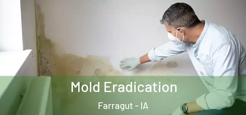  Mold Eradication Farragut - IA