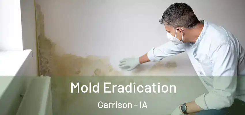 Mold Eradication Garrison - IA