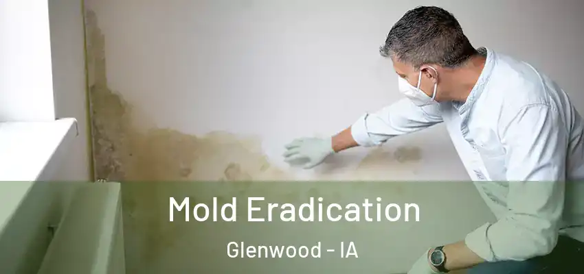 Mold Eradication Glenwood - IA