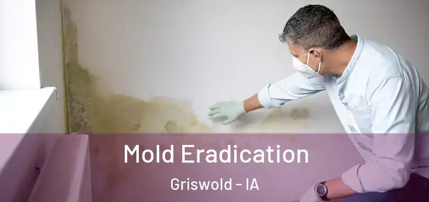  Mold Eradication Griswold - IA
