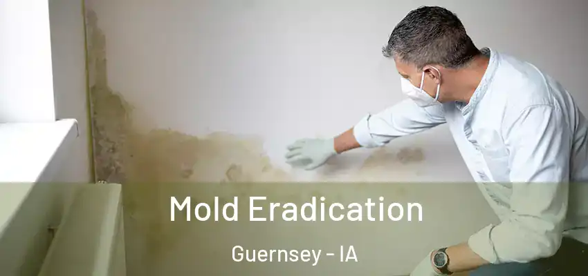 Mold Eradication Guernsey - IA